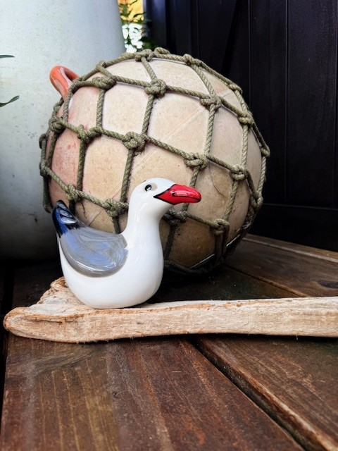 images/RS SEAGULL1.jpg